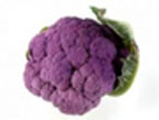 Bloemkool's berichtenfoto