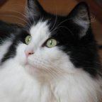 moeshoek's berichtenfoto
