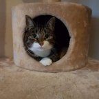 Bianca's berichtenfoto