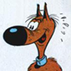 Ratar's berichtenfoto