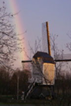 sjnubelke's berichtenfoto