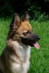 zyra's berichtenfoto