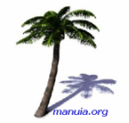 manuiateam's berichtenfoto