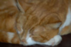 Fien's berichtenfoto