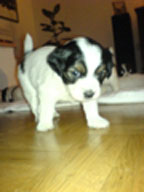 nicebelly's berichtenfoto