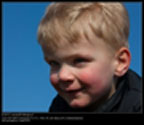 K9 Design's berichtenfoto