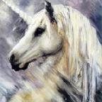 Unicorn69's berichtenfoto
