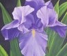 Dutchpainter's berichtenfoto