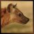 Hyena's berichtenfoto