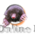 ronmol's berichtenfoto