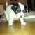 nicebelly's berichtenfoto
