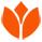 Dutch-html.nl's berichtenfoto